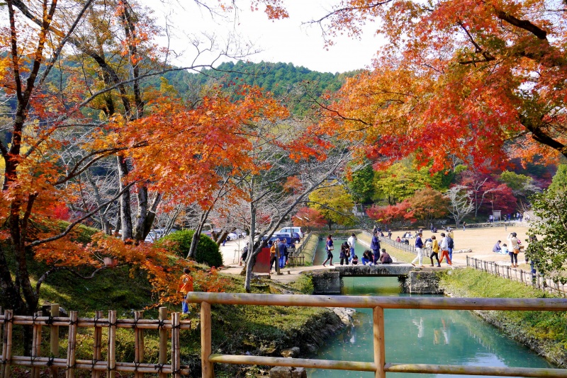旧閑谷学校の紅葉