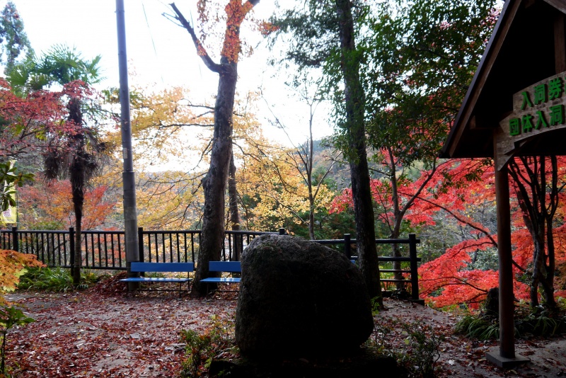 満奇洞の紅葉