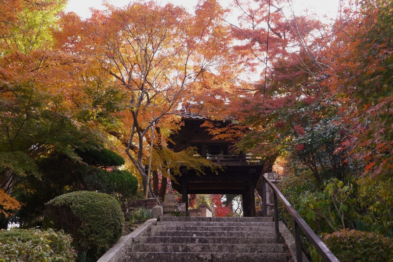 来迎寺（宇部市）