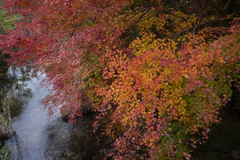 Sekichukei(Mine-shi)